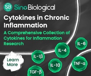 Pro and anti-inflammatory cytokines in chronic inflammation