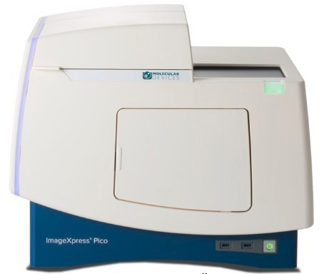 Streamlining cell imaging with ImageXpress Pico