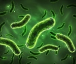 Leaky gut linked to depressive disorders: New insights into microbiota-induced epigenetic changes